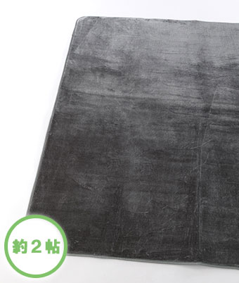 【Ｇｉｎｇｅｒのチカラ】（約２帖用）ソフトタッチ中敷カーペット