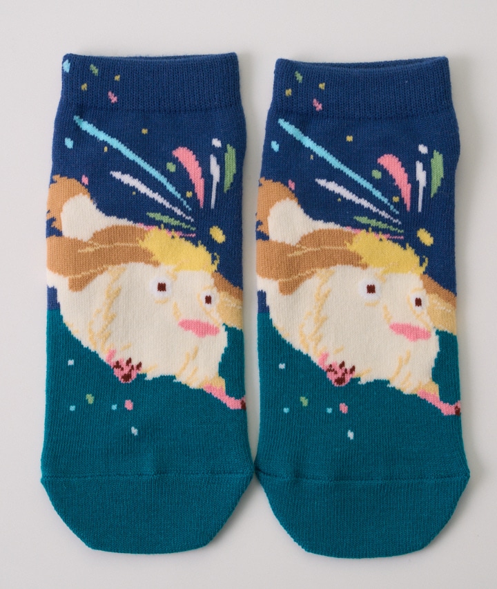 【スタジオジブリ】【ハウルの動く城】（ヒン）（１足物）フロント柄ソックス